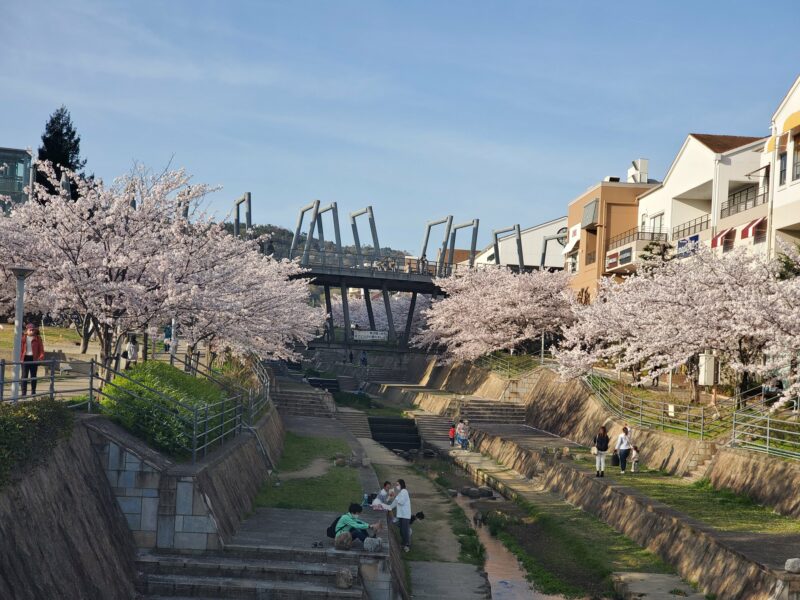 FBMI Missionary Go Oishi Prayer Letter Picture