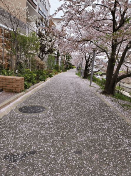 FBMI Missionary Go Oishi Prayer Letter Picture