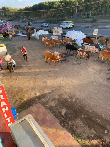 FBMI Missionary Peter Morris Prayer Letter Picture