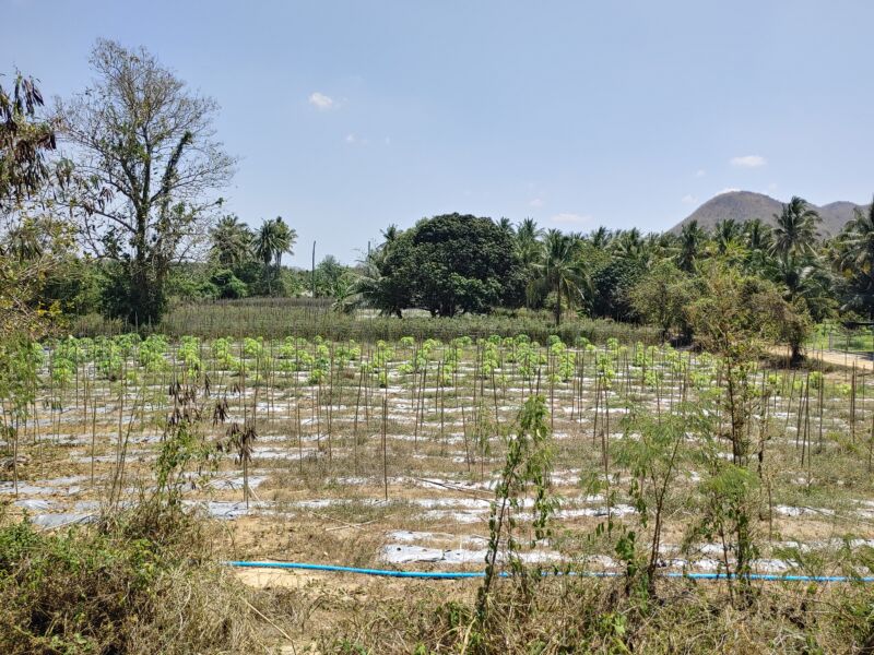 FBMI Missionary Chad Inman Prayer Letter Picture