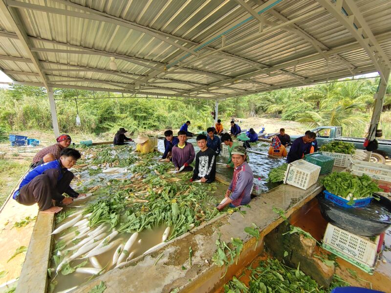 FBMI Missionary Chad Inman Prayer Letter Picture