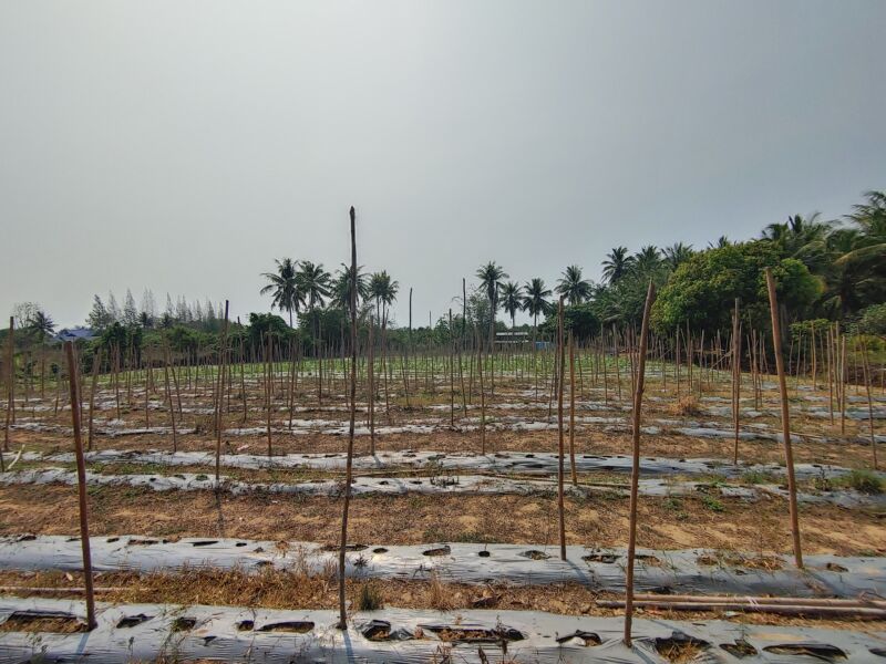 FBMI Missionary Chad Inman Prayer Letter Picture