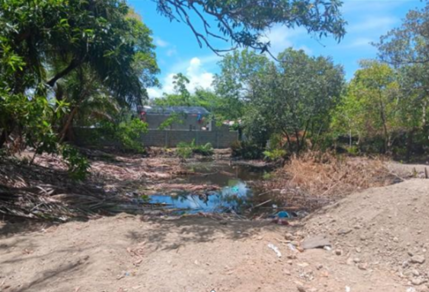 FBMI Missionary Mike Morrissey Prayer Letter Picture