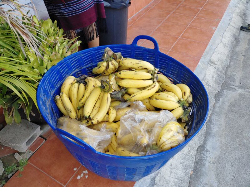 FBMI Missionary Chad Inman Prayer Letter Picture