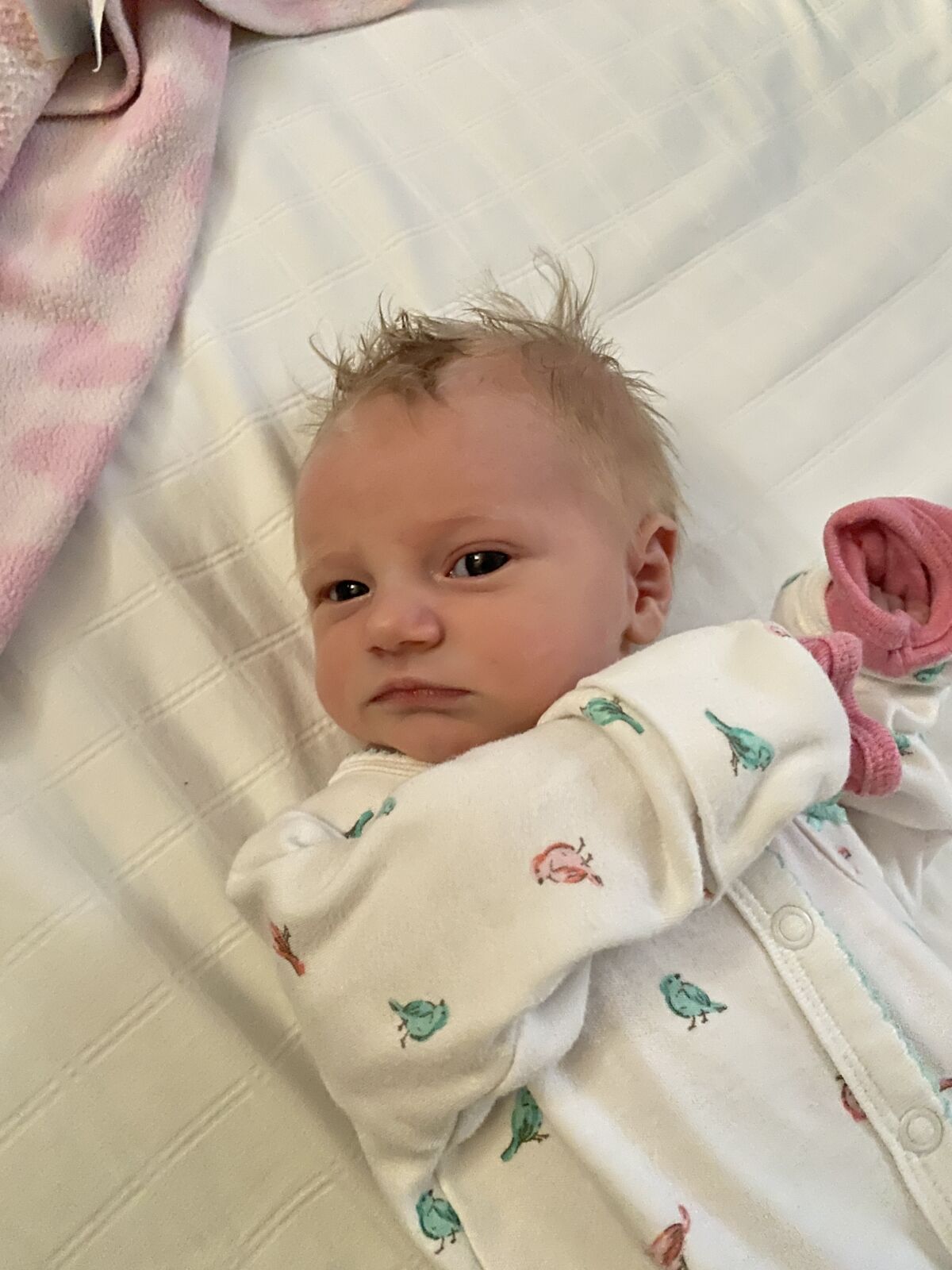 FBMI Missionaries Brian & Liz Hebert Prayer Letter